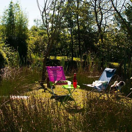 Otium B&B Cavallirio Luaran gambar